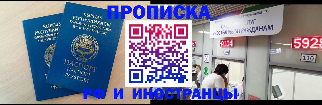 прописка поиск в Дмитрове